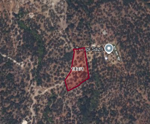 Sazlı Köyü Sahilde Yol Cepheli Deniz ve Doğa Manzaralı Zeytinlik